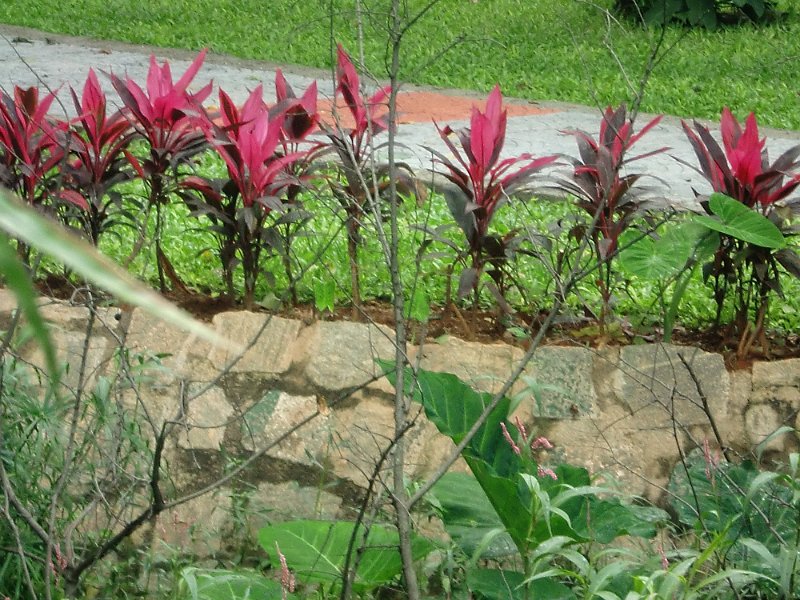 India Trip - July 2010 128.jpg